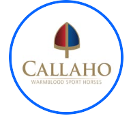 Callaho Warmblood Sport Horses logo